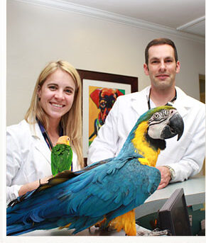 Animal and Bird Hospital 1 animal and bird hospital
